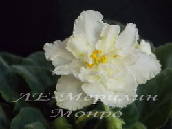 ЛЕ-Мерилин Монро