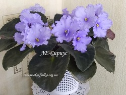 ЛЕ-Сириус