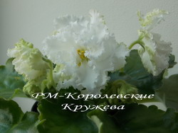 РМ-Королевские Кружева