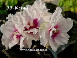 ��-������